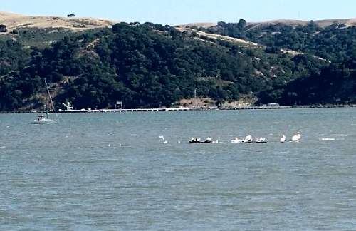 2015-06-04 Benicia LPI 4